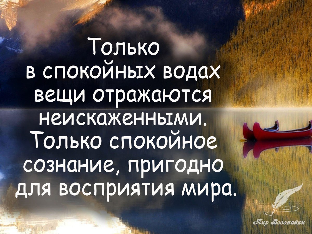 Философия в картинках о смысле жизни